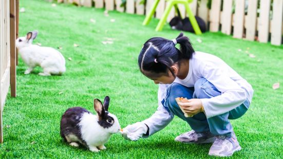 東湖之森·洛嘉森樂園