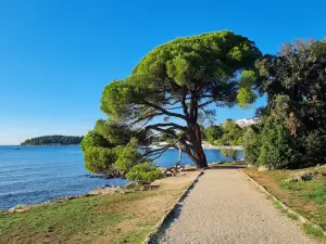 Park šuma Zlatni Rt