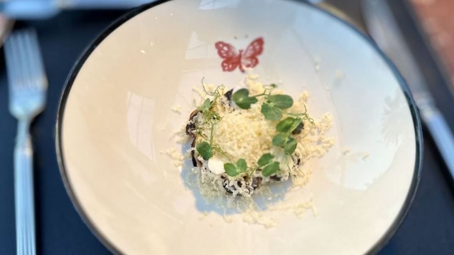 Gucci Osteria da Massimo Bottura