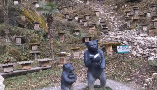 Guanmenshan - Bee Garden