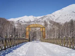 Hemu Bridge