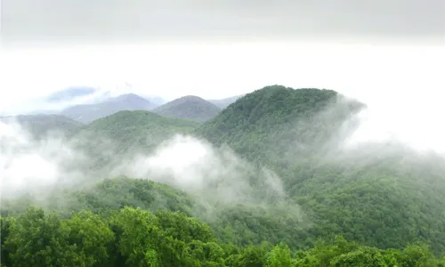 Laoshan National Forest Park of Nanjing