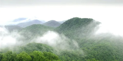老山國家森林公園