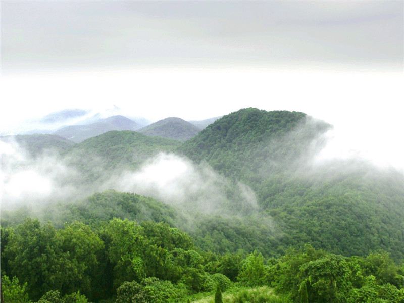 老山國家森林公園