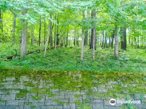 화이트워터 주립공원
