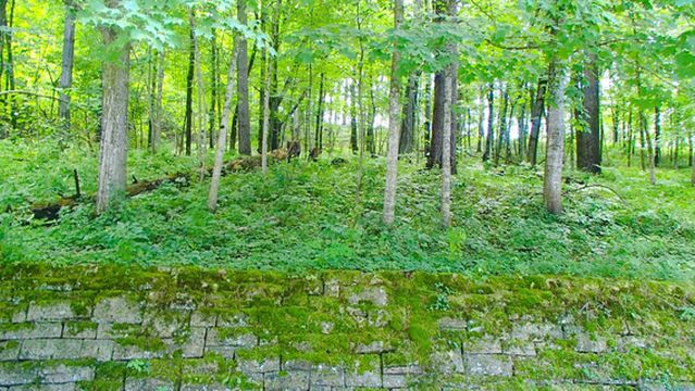 Whitewater State Park