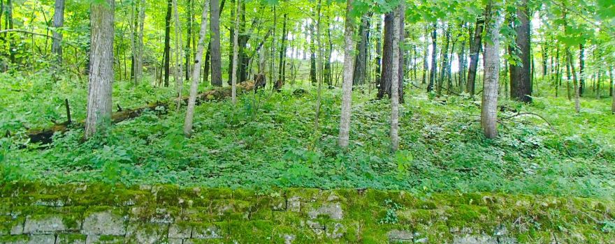 Whitewater State Park