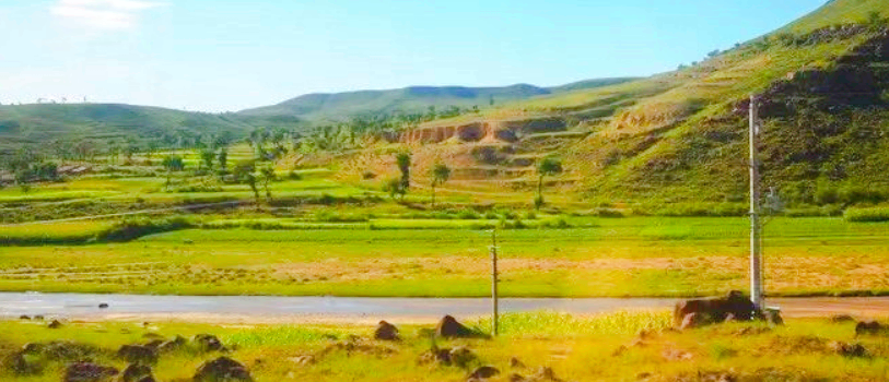 Zhaohe Grassland