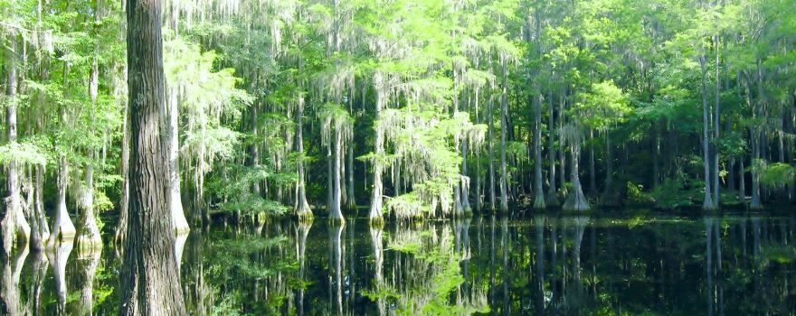 Tallahassee Museum