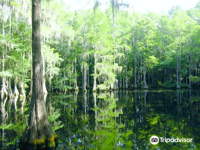 Tallahassee Museum