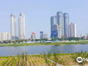 태화강 십리 대숲