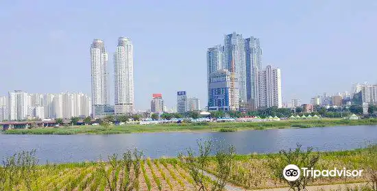 Hotels near Taehwagang Bamboo Forest