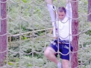 Go Ape Sherwood