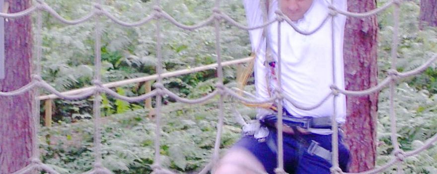 Go Ape Sherwood