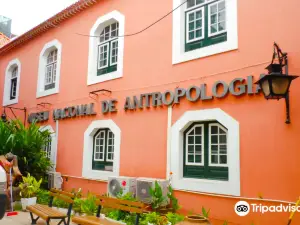 National Museum of Anthropology