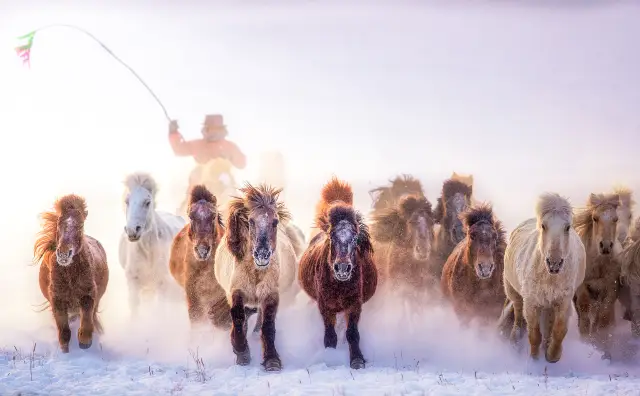 Ulanqab Equestrian Show