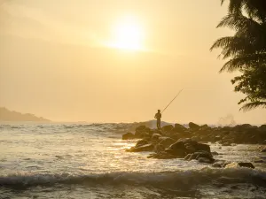Sri Lanka Sea Fishing