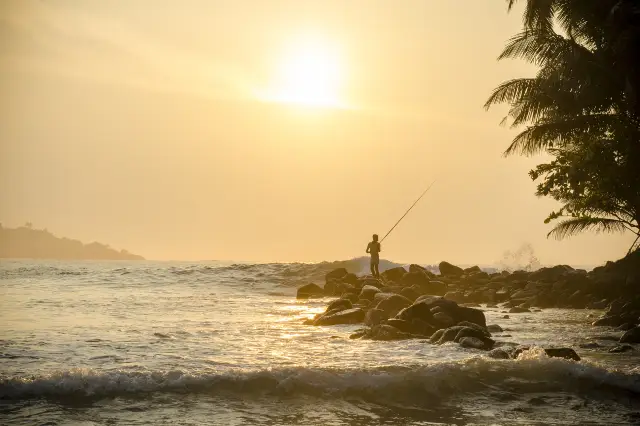 Sri Lanka Sea Fishing