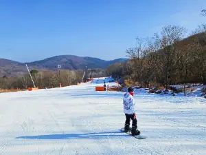 Mineyama Kogen Resort