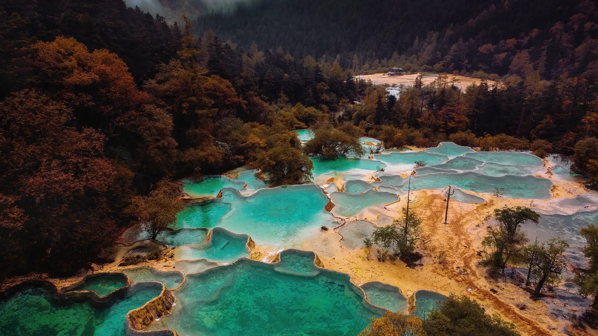 盆景池周辺のホテル