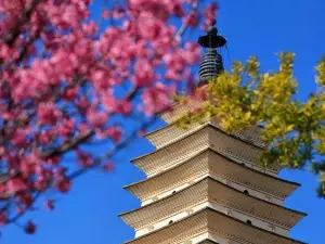 The Chongsheng Temple And The Three-Pagoda Culture Tourist Area