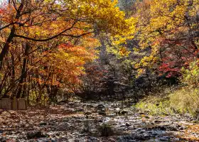 關門山國家森林公園