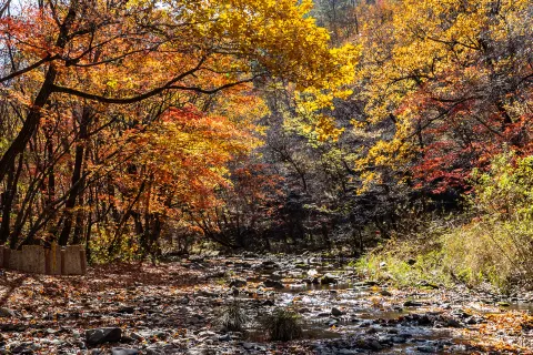 Guan Men Shan Valley Scenery