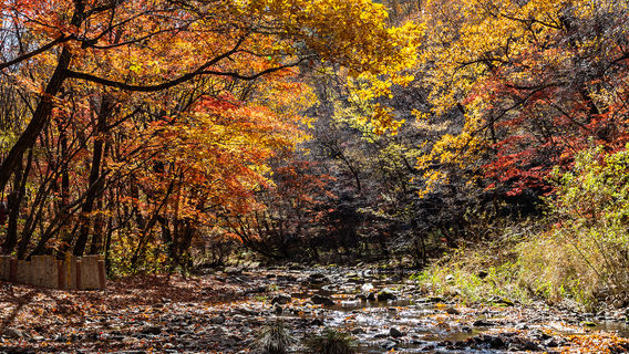 Guan Men Shan Valley Scenery