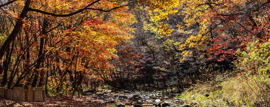 Guan Men Shan Valley Scenery