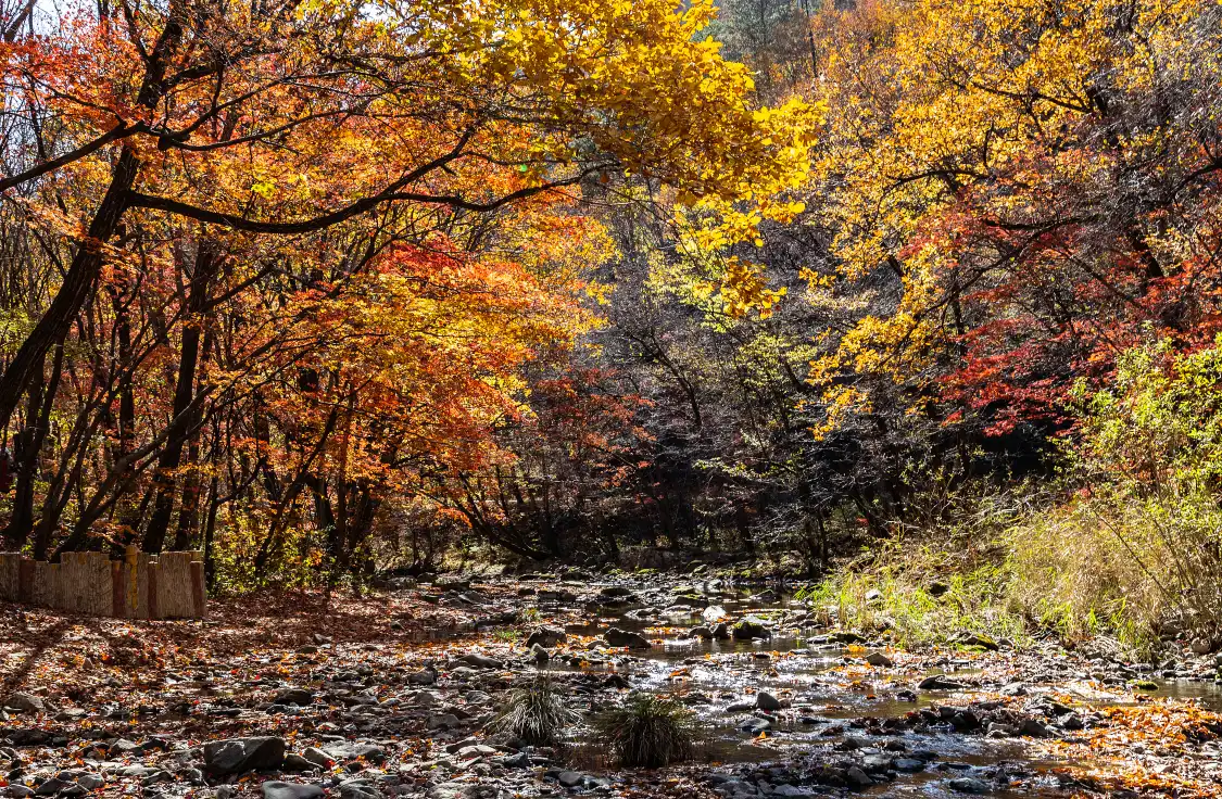Hotels near Guan Men Shan Valley Scenery