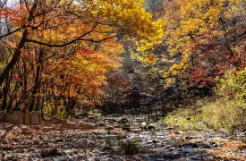 Guan Men Shan Valley Scenery
