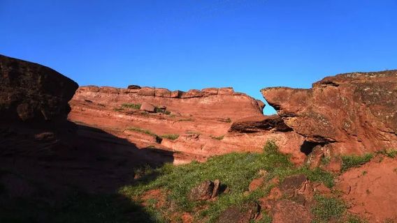 mu dou xi li bo lang gu