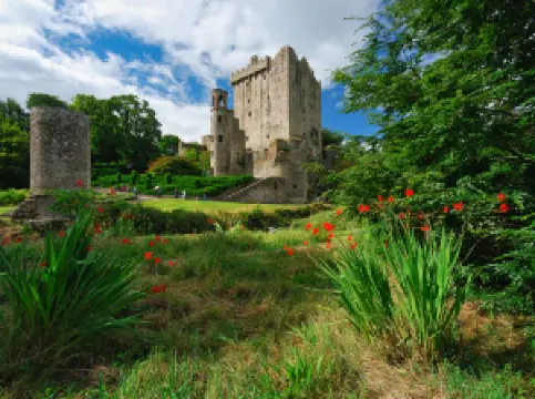 กิจกรรมในฤดูใบไม้ผลิยอดนิยมในคอร์ก