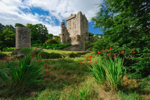 Castello di Blarney