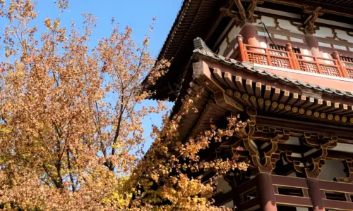 Qinglong Temple
