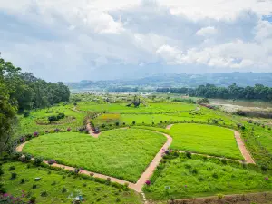 Yunnan Yingjiang National Wetland Park
