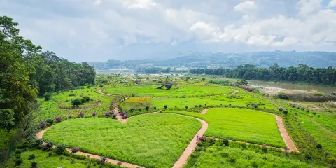 大盈江國家級風景名勝區花海-雲南盈江國家濕地公園
