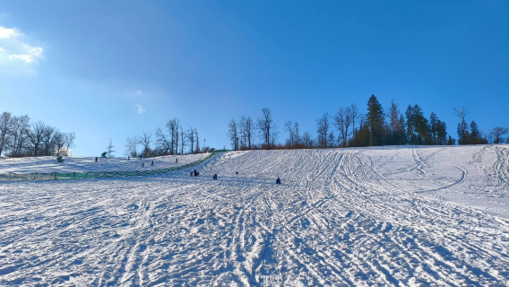 Skiclub Falkenau/Sa. e.V.