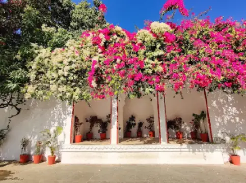 Popular Spring Outings in Udaipur