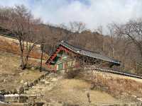 소백산이 품은 절, 영주 비로사