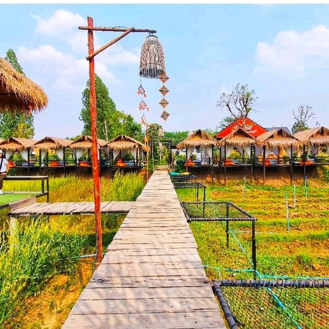 คาเฟ่ หนองบัวลำภู