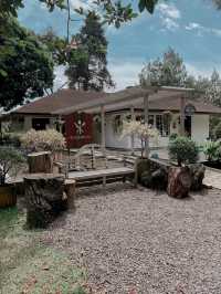 A Shabby Chic Café In Puncak, Bogor
