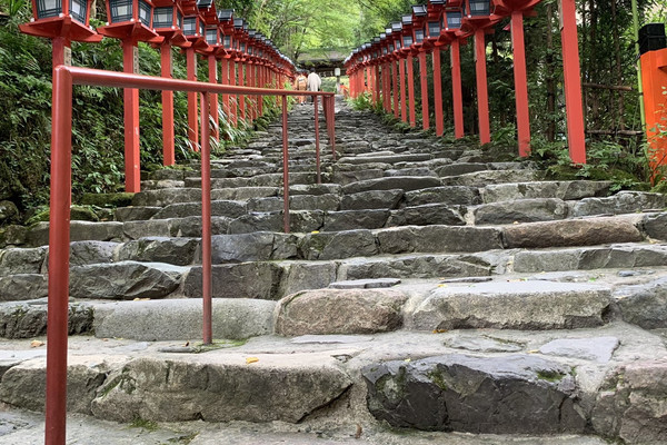 水と森とお米の国 水を司る神様・貴船神社の宮司が語る日本人の