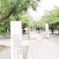 【三島】三島大社