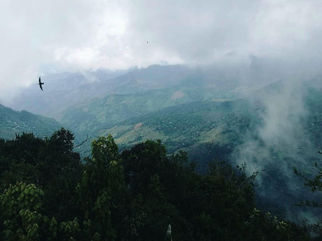 Truly out of this world’s parrot peak