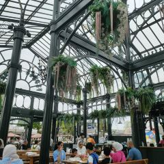 Chocolate Ville User Photo