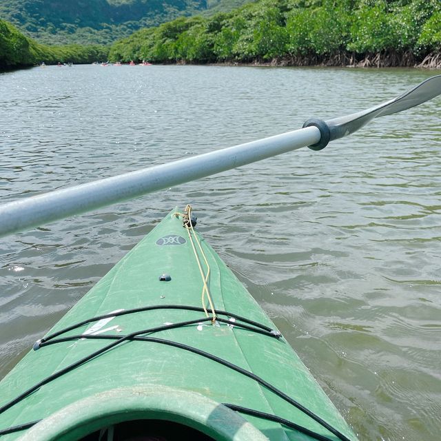 旅行 ｜ 西表島でカヌー体験