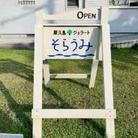 【屋久島】ジェラート そらうみ