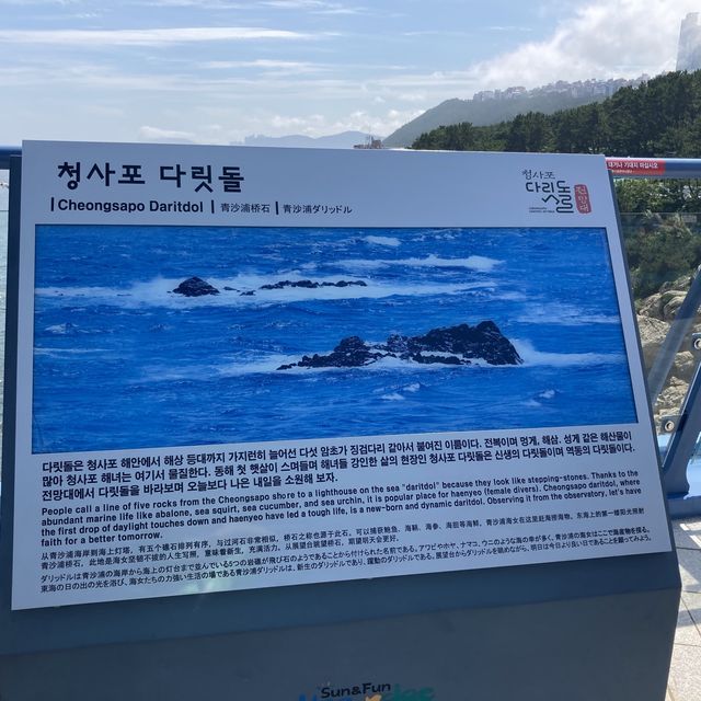 청사포 다릿돌