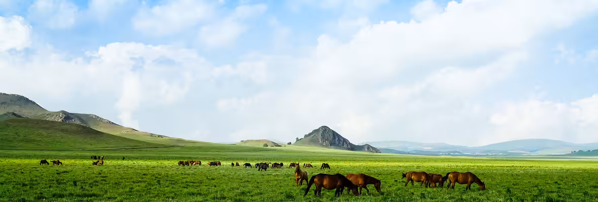 Vé máy bay Thẩm Dương Xích Phong